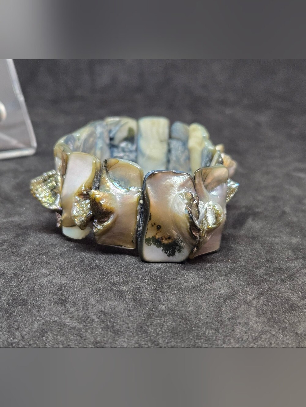 Natural Sea Shell Stretch Bracelet